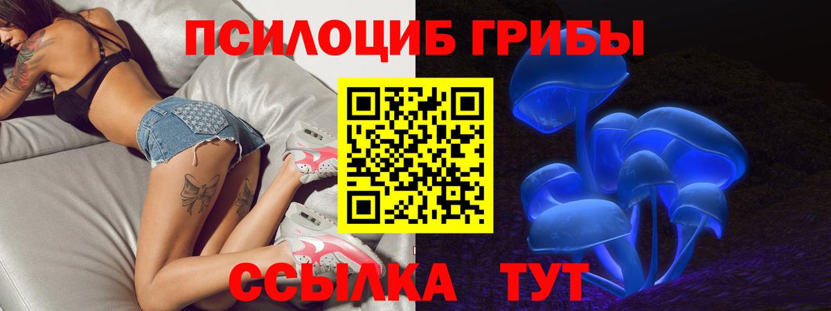 цена   Галлюциногенные грибы MAGIC MUSHROOMS  Вход с VPN  Минусинск  Псилоцибиновые грибы GOLDEN TEACHER 